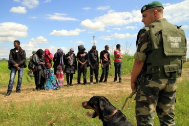 На границе Украины и Словакии задержана большая группа нелегалов