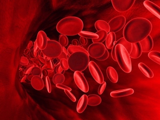 Ученые сказали, что оказывается возможным контролировать производство кровяных клеток