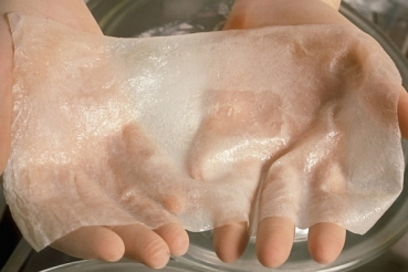 Ученые создали уникальную искусственную кожу