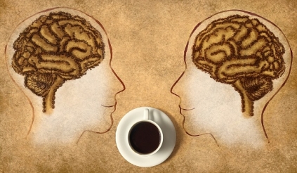 Употребление кофе влияет на связи внутри мозга