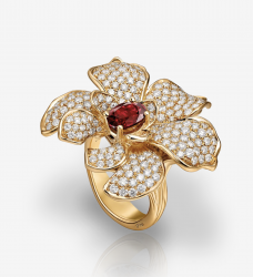 RING ORQUIDEAS MEDIUM